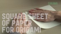 Square Sheet of Paper for Origami