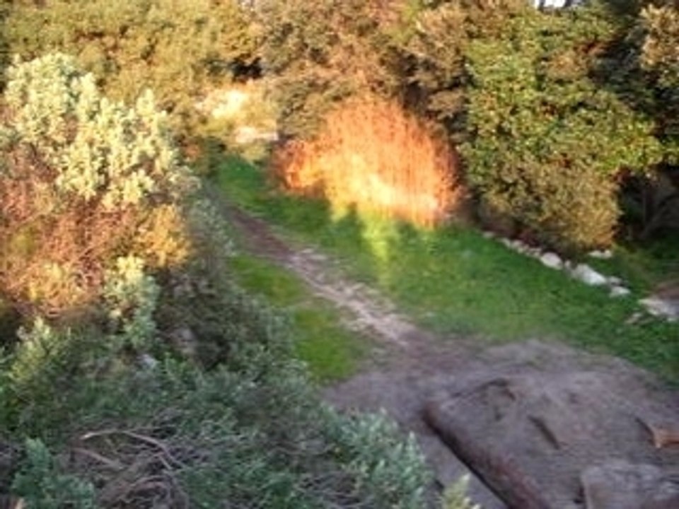 Saut dans jardin