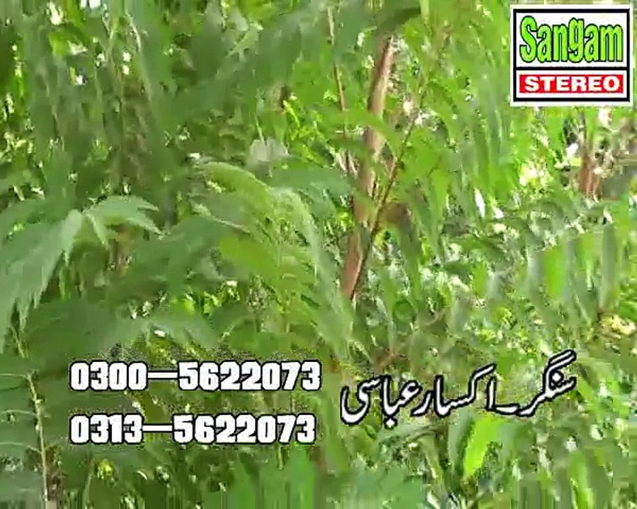 Yari Paki Paki - Aksaar Abbasi