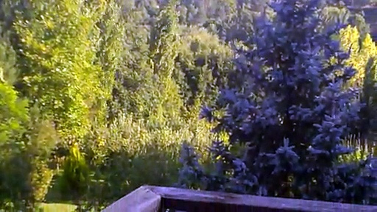 Aşık İhsani Biz Varız