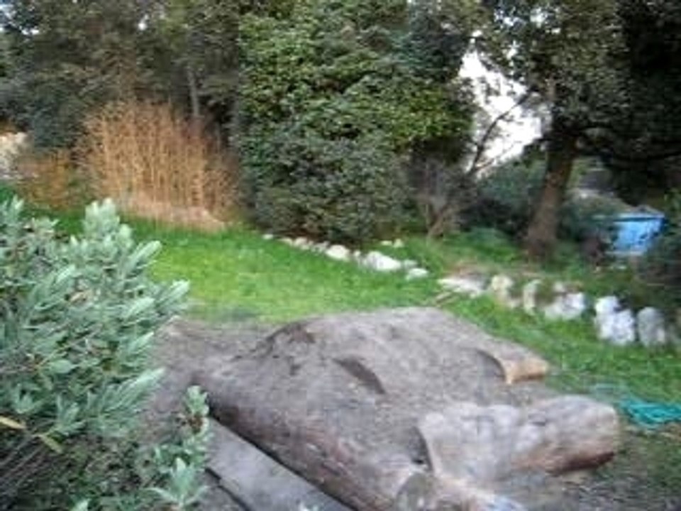 Saut dans jardin 2