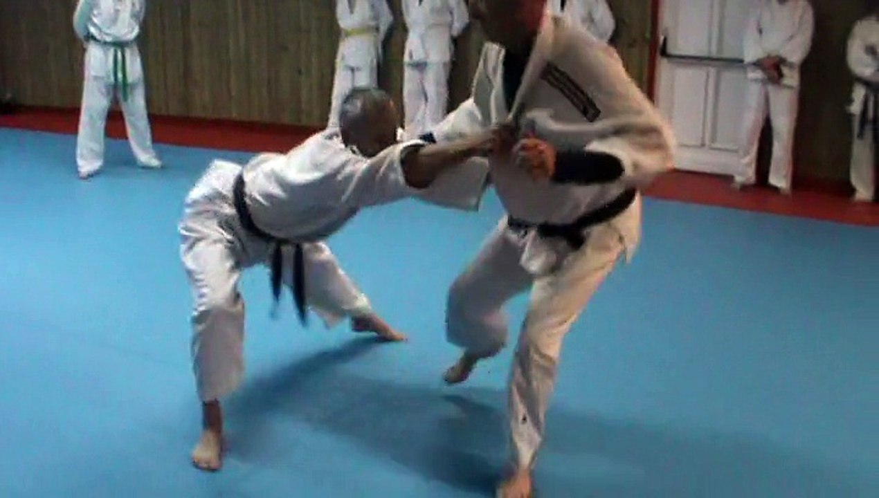 Jujitsu Rollin Philippe