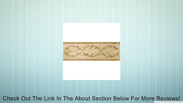 Natural Stone 12 x 4 Lario Waterjet Travertine Listello Review