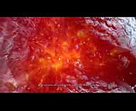 Download tms diagram studio(delphi 6) v.4.2 crack elite edition