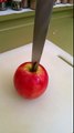 Cutting an Apple at 1/8 slow motion speed - Note 4