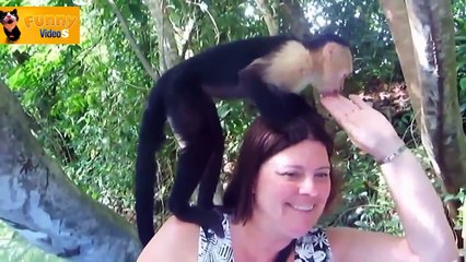 30 MIN Of Funny 2014 Animals Compilation - HD - 720p