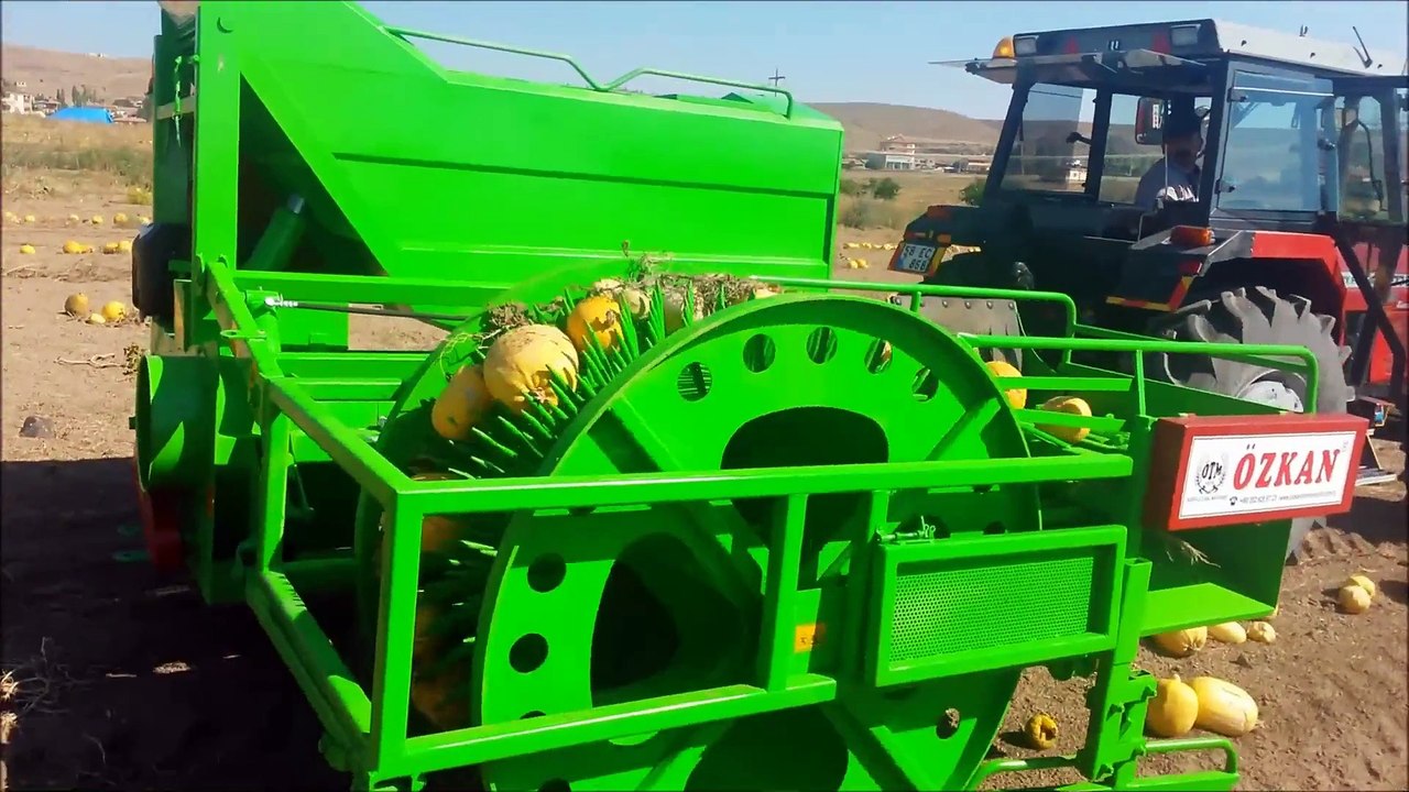 OTOMATİK KABAK ÇEKİRDEĞİ HASAT MAKİNASI
