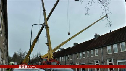 Is This The Worst Marriage Proposal The World Has Ever Seen