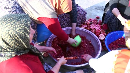 Nar Ekşisi Belgeseli