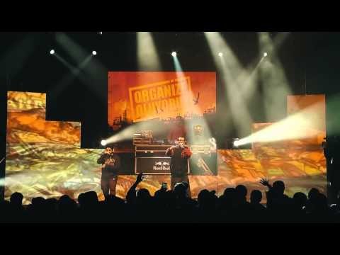 Cash Flow - Sayko (OO3 Fest / Live Performance)