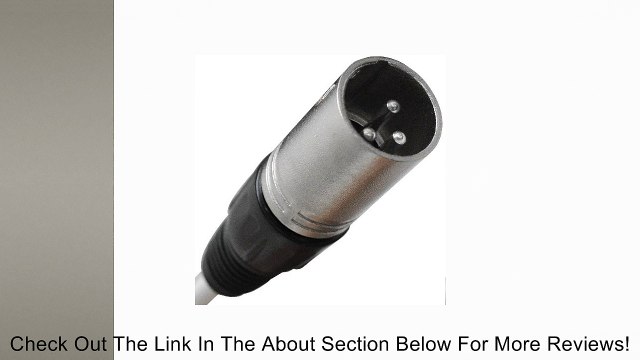 Seismic Audio - SAOR-16x8x100 - 16 Channel XLR SNAKE CABLE on a Reel with 8 Returns - 100 Feet - Stage, Studio, Church, Installs Review