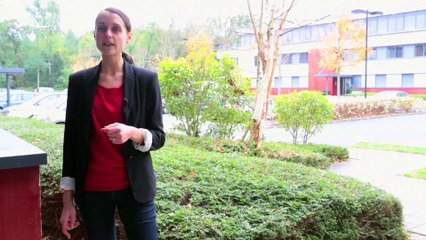 Challenges numériques 2014 - Valwin