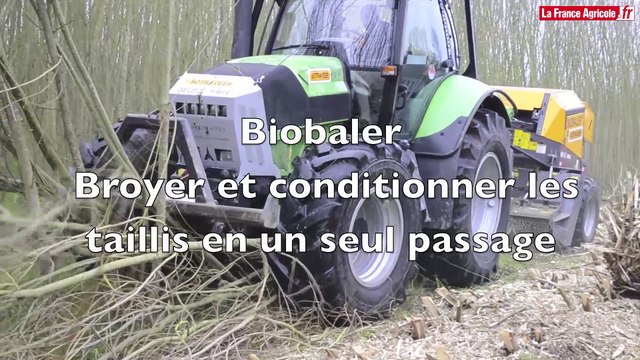 Presse à bois : pour conditionner les taillis à courte rotation en balles