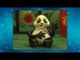 Les devinettes de Reinette - Le panda