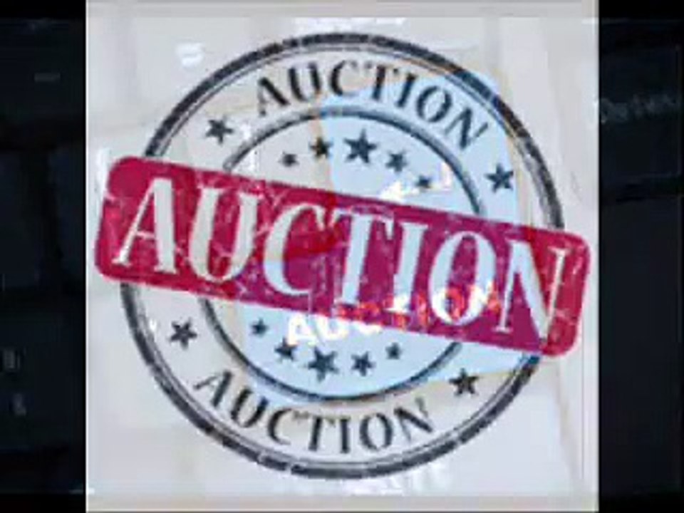 InterActive Multi-Media Auction Corp.