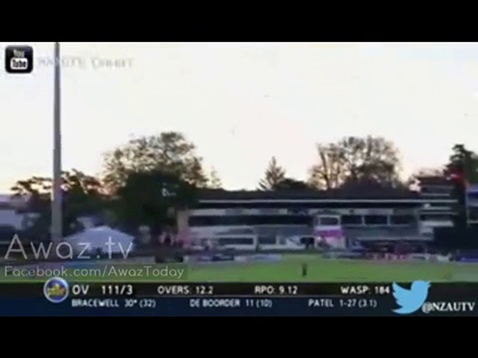 Unbelievable Cricket Crowd Catch - Spectator Wins $5000