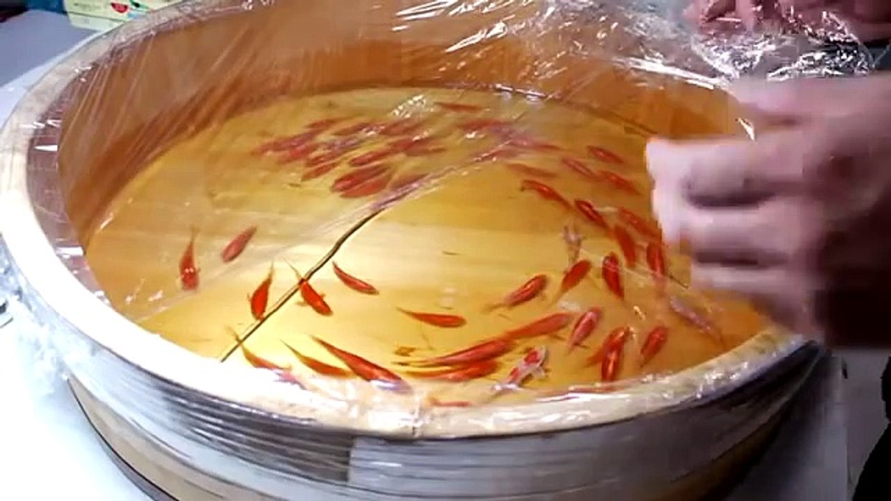Poissons dans l'assiette