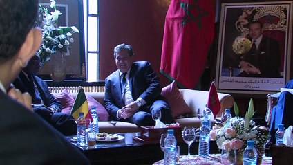 Entretiens à Marrakech entre Akhannouch et plusieurs ministres africains chargés de l'Agriculture