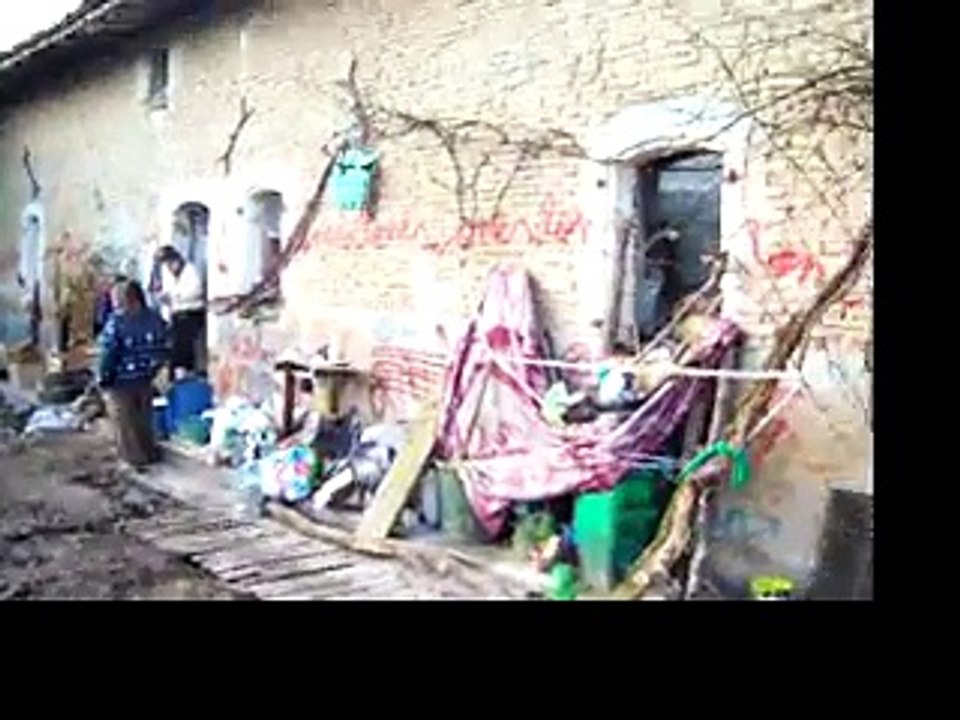 Las galinas de la ZAD