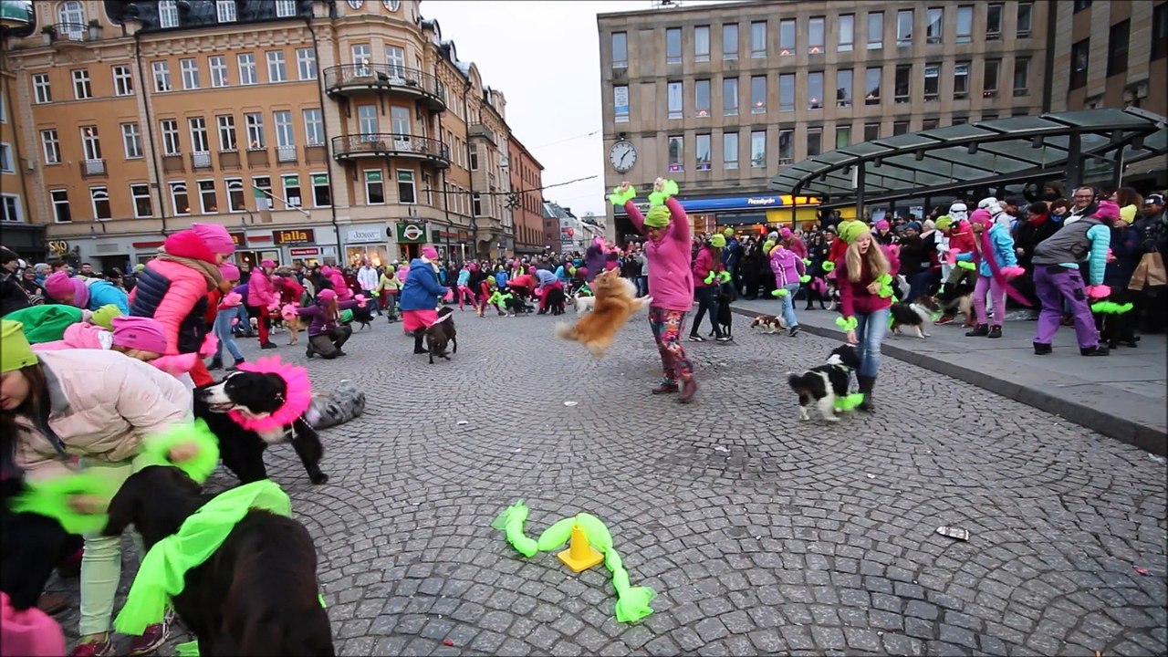 Hundflashmob utanför Musikhjälpens glasbur i Uppsala 13 december 2014