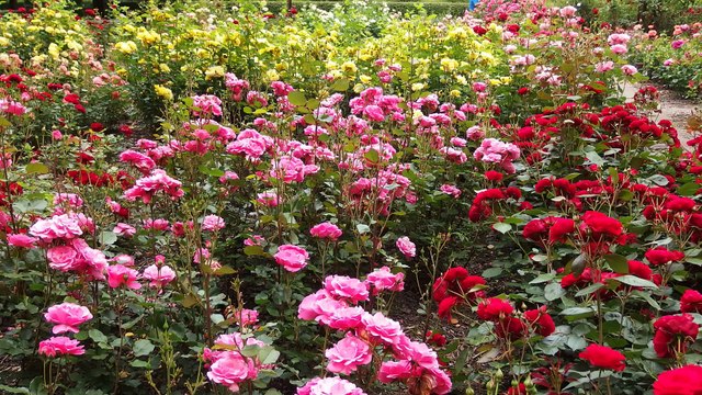 Die Flippers - Wiązanka Szlagierów - Mix 5