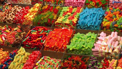 Nicolas Hulot en 60 secondes