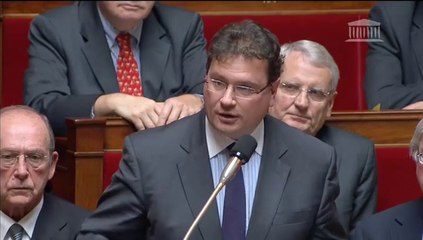 Philippe Gosselin - Gestation pour autrui