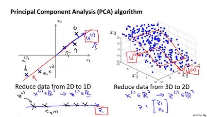 Mastering PCA: Key Principles of the Machine Learning Algorithm 📊