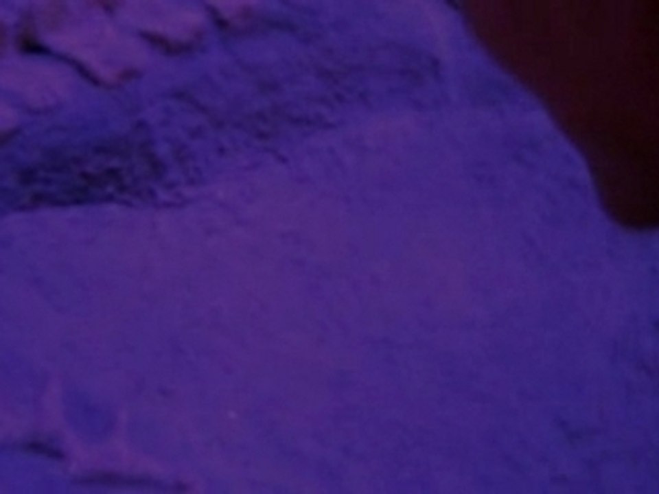 Genica Prod. Carnosaure Origins