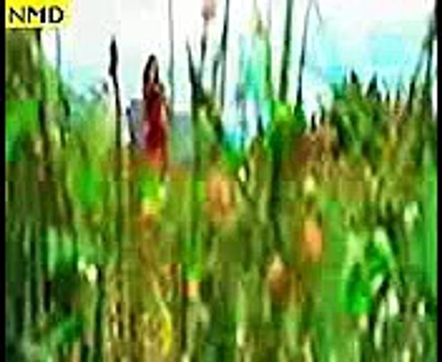 Dekhney Walon ne kya