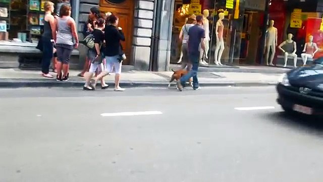 VERONIQUE LAURENT : Toujours la même (paroles et musique : Véronique Laurent)