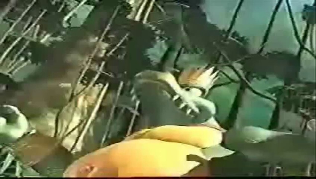 Youtube Poop: Lamest Poop Ever and the Kingdom of the Crystal Coconut