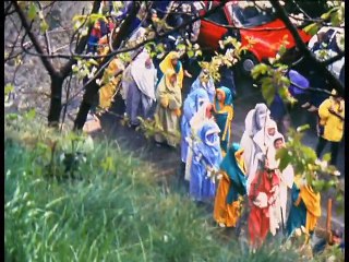 Le Passager solitaire (1994) de Gérard Courant