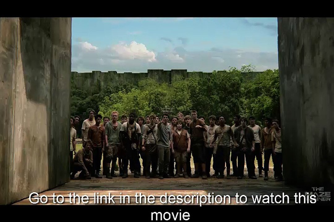 The Maze Runner (2014)