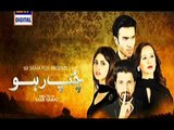 Chup Raho Episode 15 Full on Ary Digital - December 9