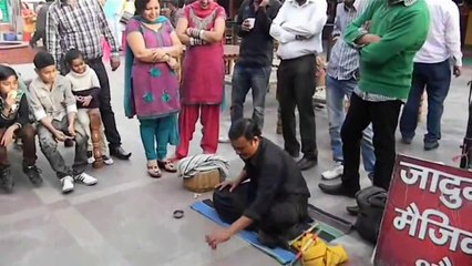 Hidden Pigeons in Wooden Bucket Amazing Magic