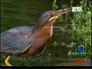 The Most Extreme (Season 5) 15th December 2014 Video Watch pt2