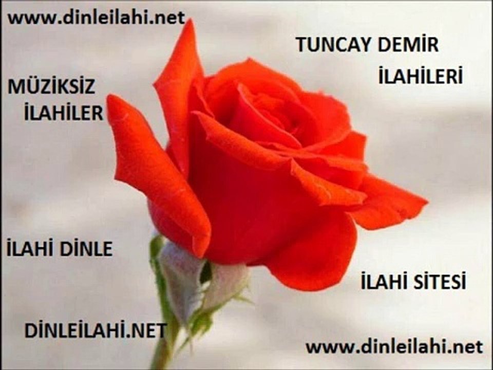 Tuncay Demir - Kabenin Yolları