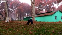 Kashmir freerunning- Finding freedom in the art of parkour