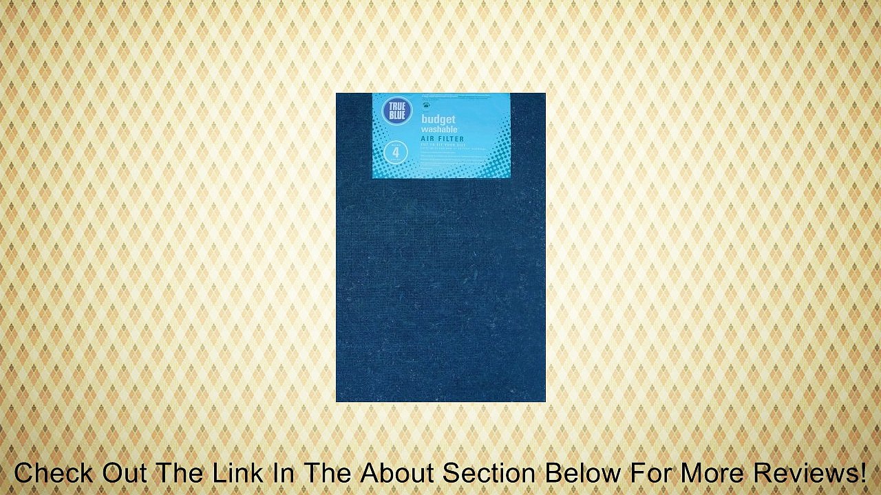 20X30X1 FIBERGLASS AIR FILTER (Pack of 12) Review