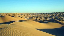 Marathon des Oasis Tunisie 2014 : coucher de soleil sur les dunes du Djebil , près du parc national