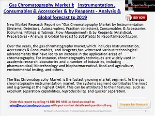 2019 World Gas Chromatography Industry Analysis Report by Challenges & Opportunities