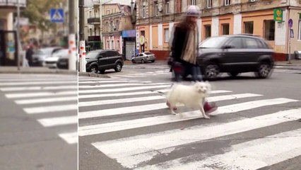 A Breath of Air - the Dream of a Child with Pulmonary Hypertension. SOCIAL ADVERTISING