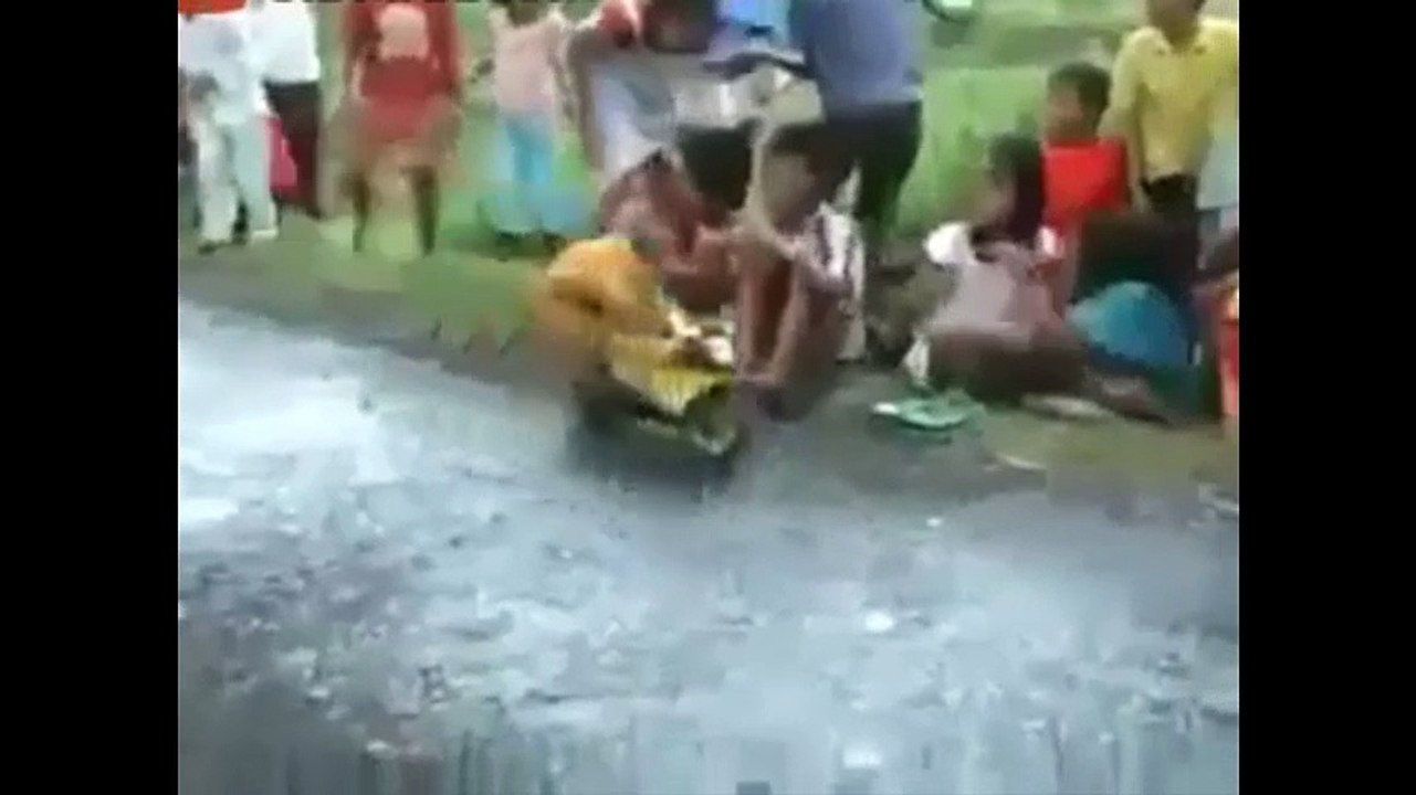 Funny Monkey Riding a Mini-Motobike