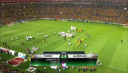 Tigres 3-0 Alebrijes Oaxaca | Campeón de la Copa MX