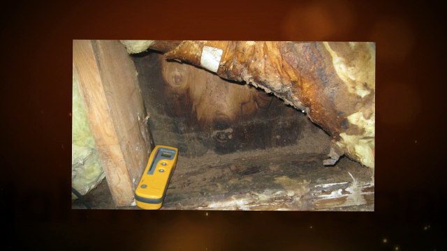 Water, Flood, Smoke, and Fire Restoration Services in Ogden, UT | Utah Flood Cleanup