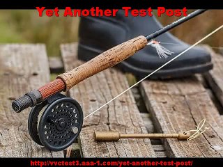 Yet Another Test Post