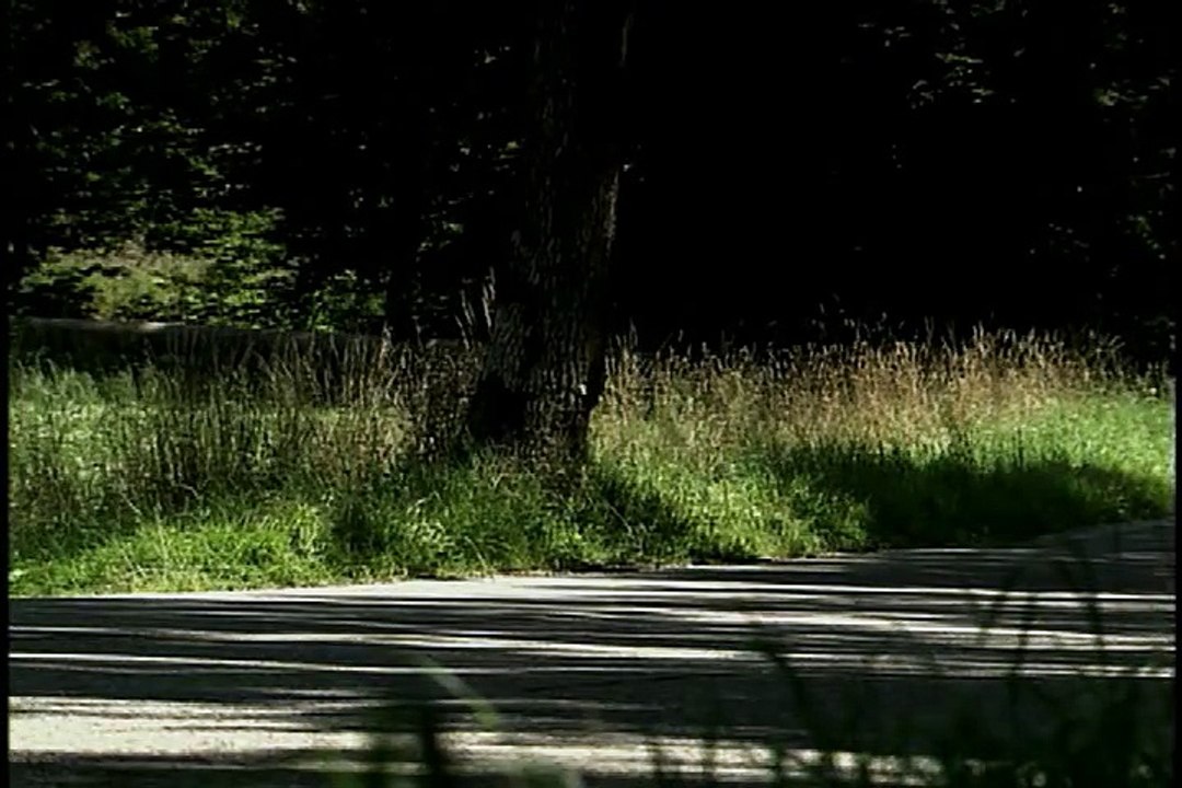 Super Car Central - 2011 Audi A8