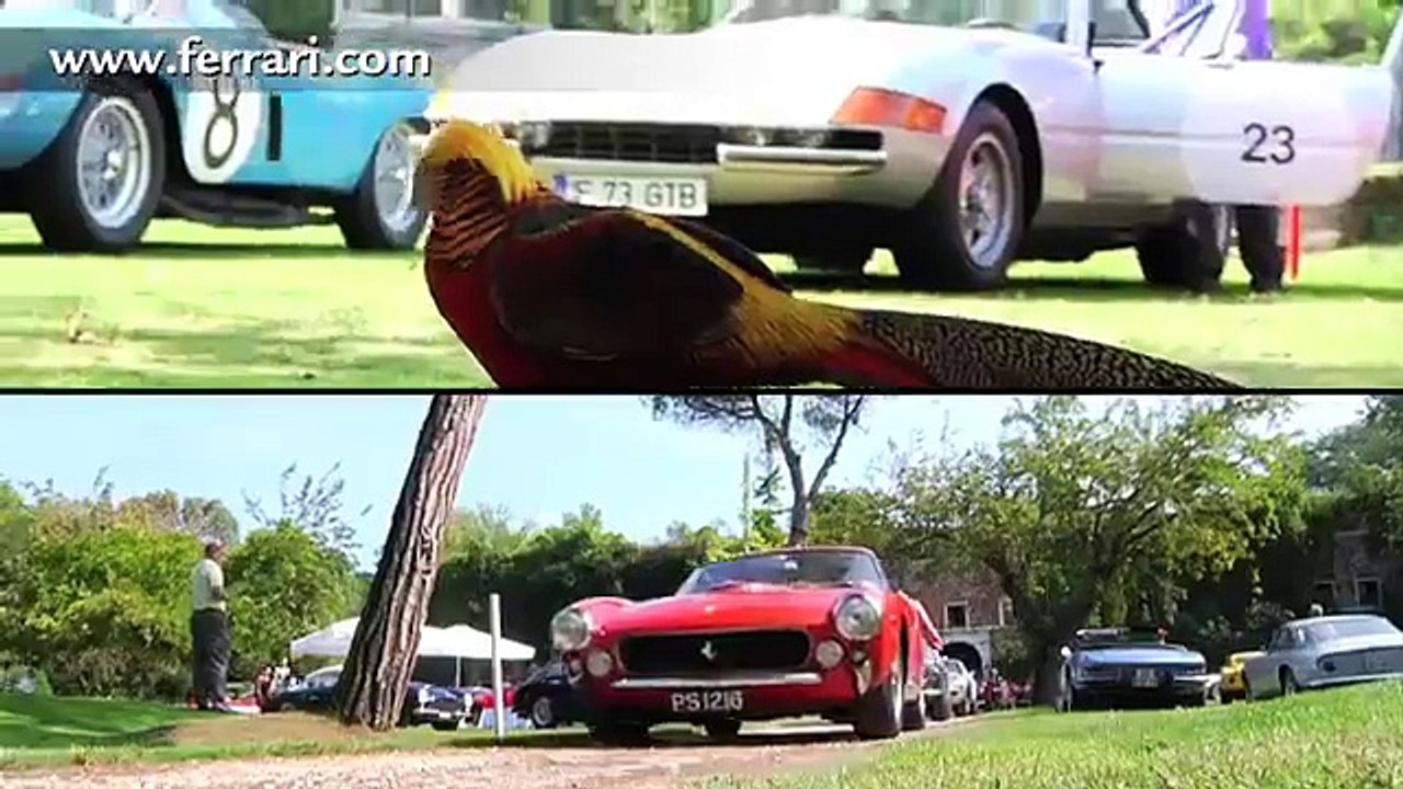 Super Car Central - 2011 Ferrari Gran Tour