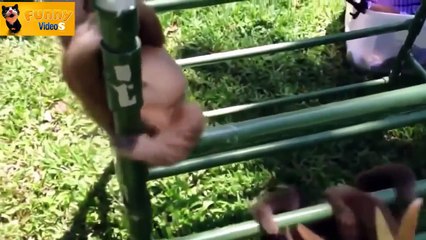 Lazy Comedy FUNNY Compilation 2014 - FUNNY VideoS - 720p - HD